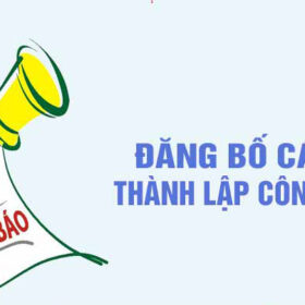 bo-cao-thanh-lap-cong-ty