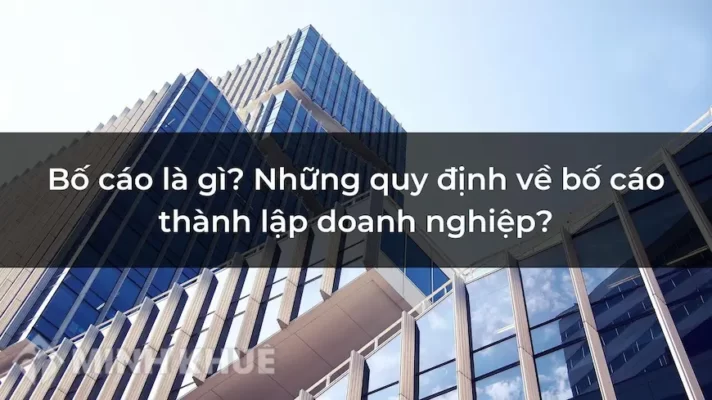 bo-cao-thanh-lap-cong-ty-la-gi