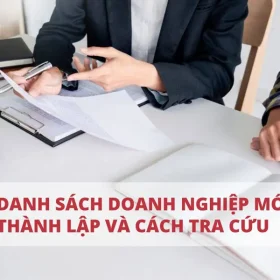 huong-dan-tra-cuu-cac-doanh-nghiep-moi-thanh-lap