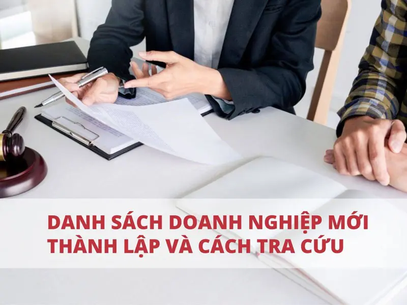 huong-dan-tra-cuu-cac-doanh-nghiep-moi-thanh-lap