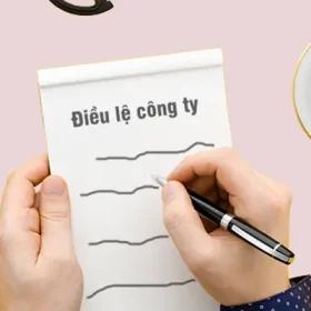 dieu-le-cong-ty-tnhh-1-thanh-vien