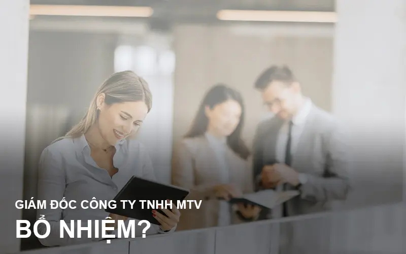 bo-nhiem-giam-doc-cong-ty-tnhh-1-thanh-vien