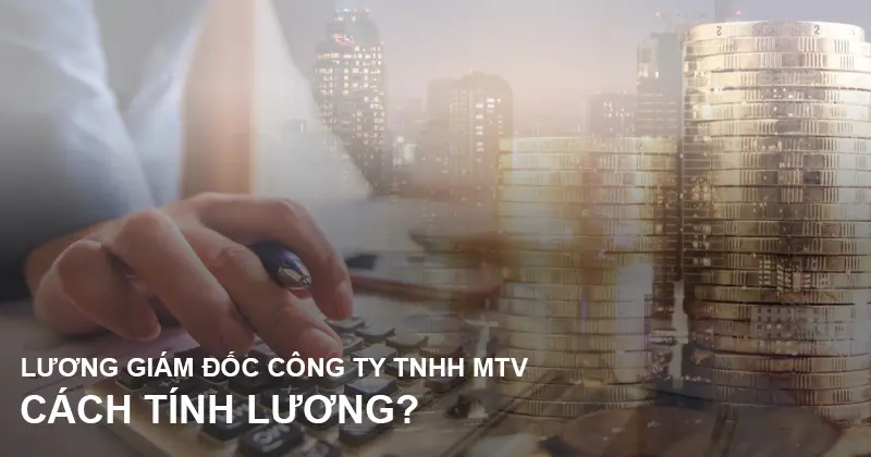 cach-tinh-luong-cho-giam-doc-cong-ty-tnhh-1-thanh-vien