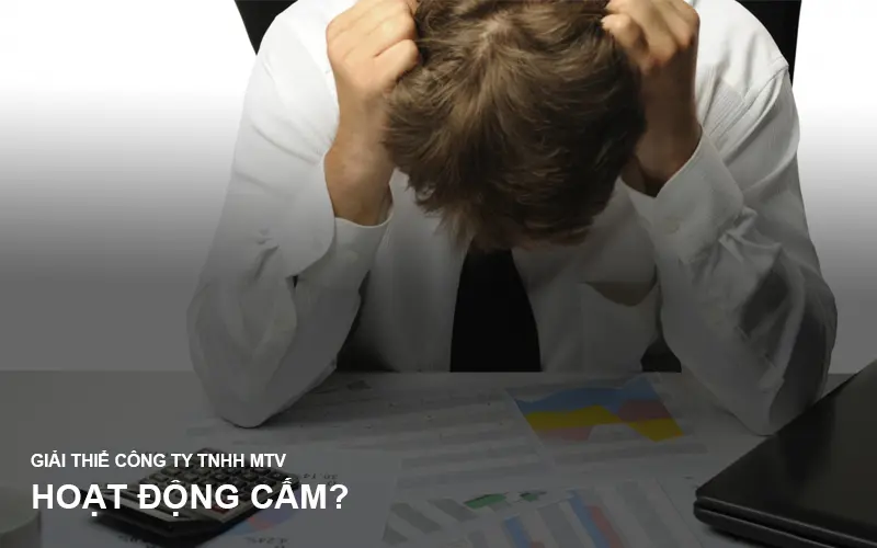 hoat-dong-cam-khi-giai-the-cong-ty-tnhh-1-thanh-vien