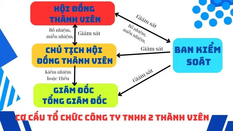 so-do-co-cau-to-chuc-cong-ty-tnhh-hai-thanh-vien