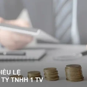 von-dieu-le-cong-ty-tnhh-1-thanh-vien