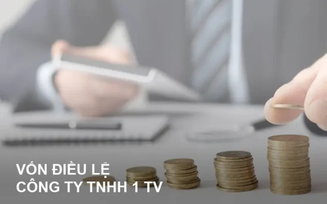 von-dieu-le-cong-ty-tnhh-1-thanh-vien