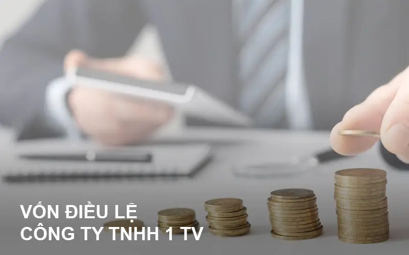 von-dieu-le-cong-ty-tnhh-1-thanh-vien