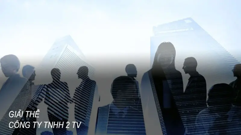 giai-the-cong-ty-tnhh-2-thanh-vien-3