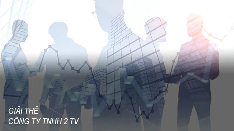 giai-the-cong-ty-tnhh-2-thanh-vien-4