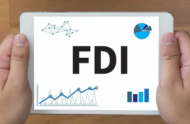 doanh-nghiep-fdi-la-gi