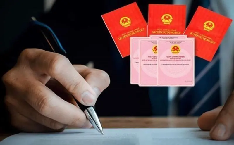 don-xin-xac-nhan-nguon-goc-dat