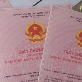 so-hong-chung-cu-3