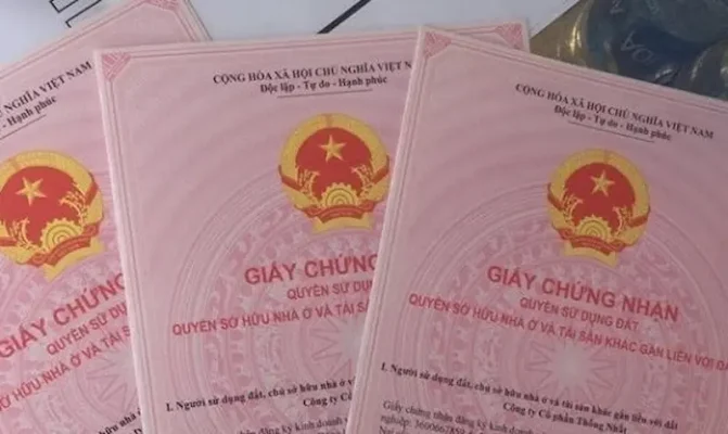so-hong-chung-cu-3